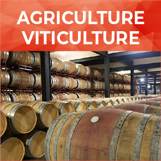 AGRICULTURE VITICULTURE